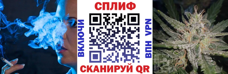 Купить где  Выкса  Бошки марихуана White Widow 